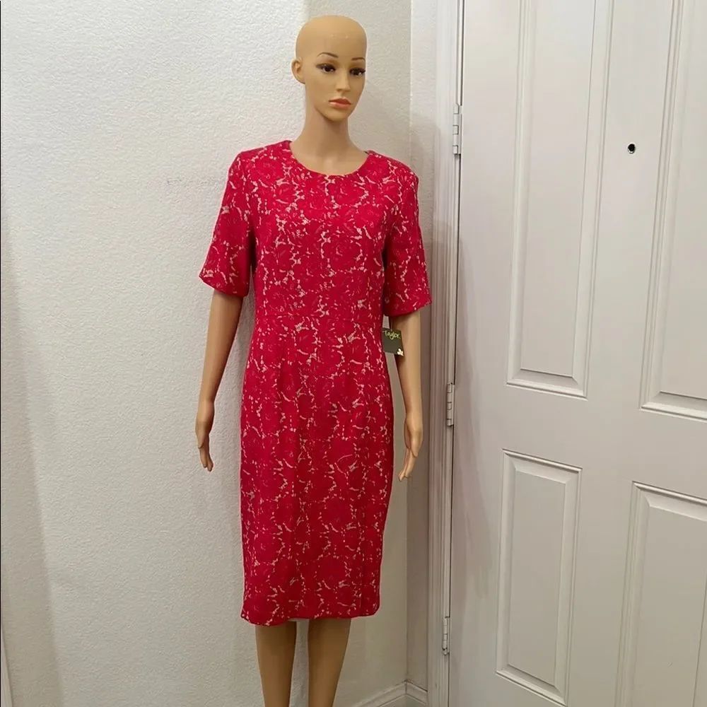 Taylor Elegant Red Floral Lace Dress ScoopâNeck Short Sleeve Midi Size 14 New